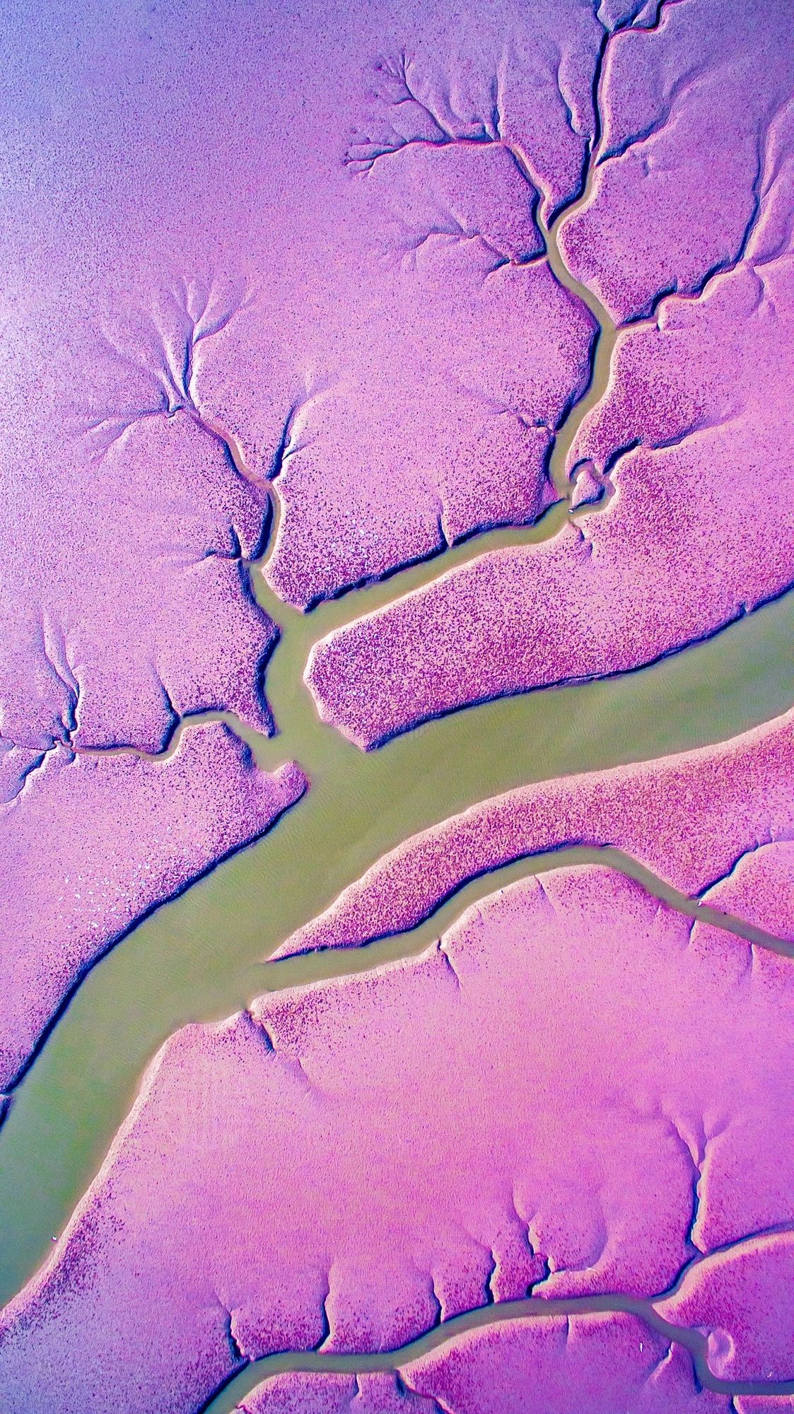 驚艷家佳樂文學景：發(fā)現(xiàn)未知的美！