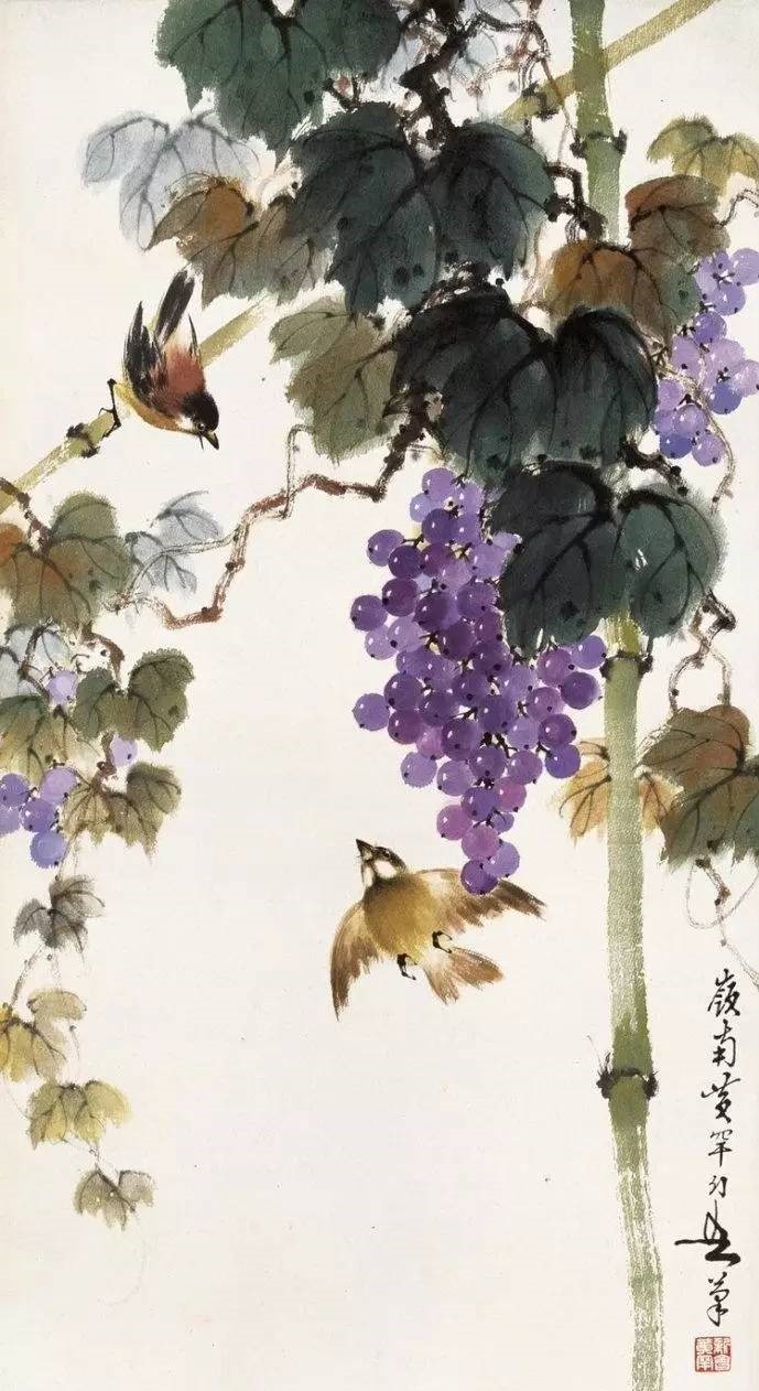 美人如葡萄，秀美如國畫！