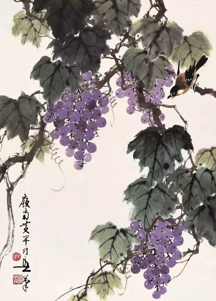 美人如葡萄，秀美如國畫！