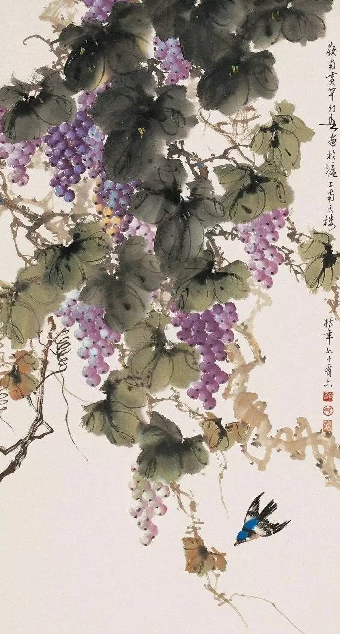 美人如葡萄，秀美如國畫！