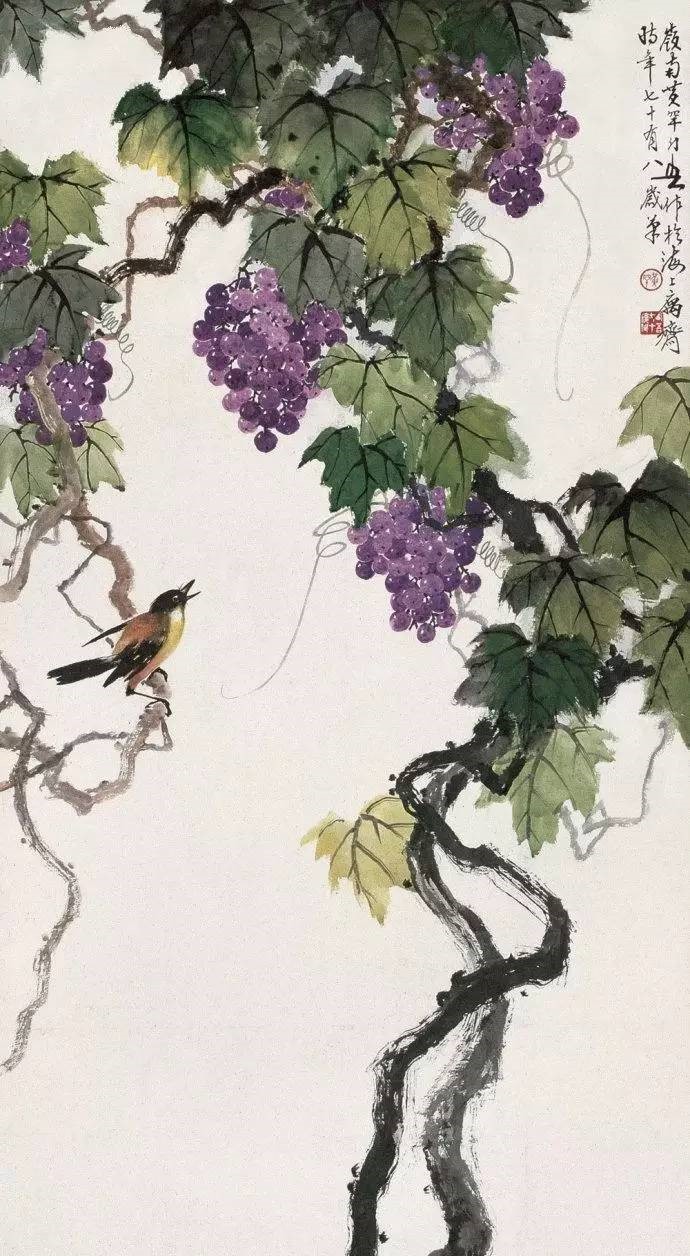 美人如葡萄，秀美如國畫！