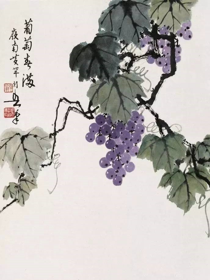 美人如葡萄，秀美如國畫！