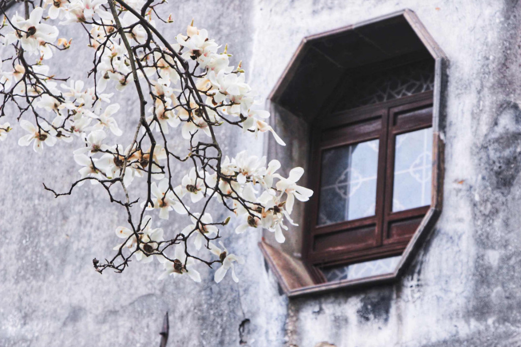 古鎮(zhèn)游玩，有一種說走就走的旅行