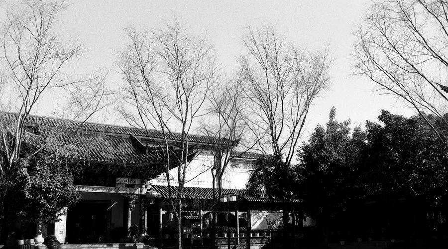 麗江·白馬里，千年古城化作最美背景