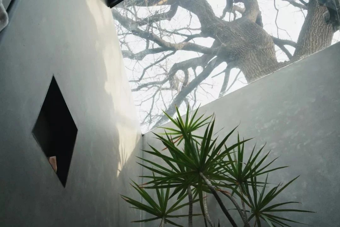 北京·有術(shù)，網(wǎng)紅建筑師青山周平的新作