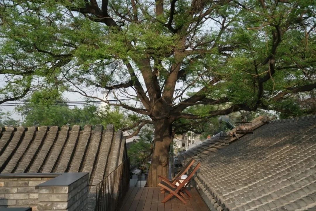 北京·有術(shù)，網(wǎng)紅建筑師青山周平的新作