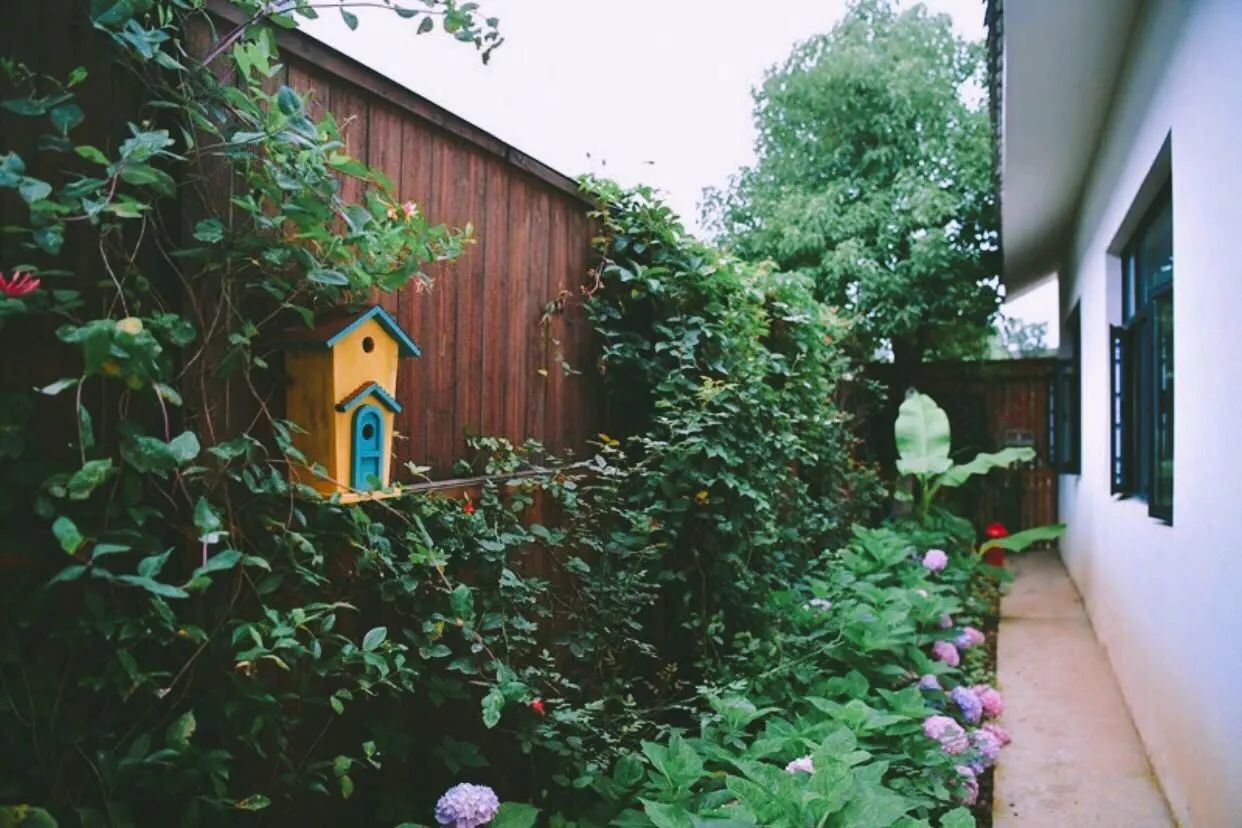 南京·悠然客棧，一方小院一杯清茶一段美好時(shí)光