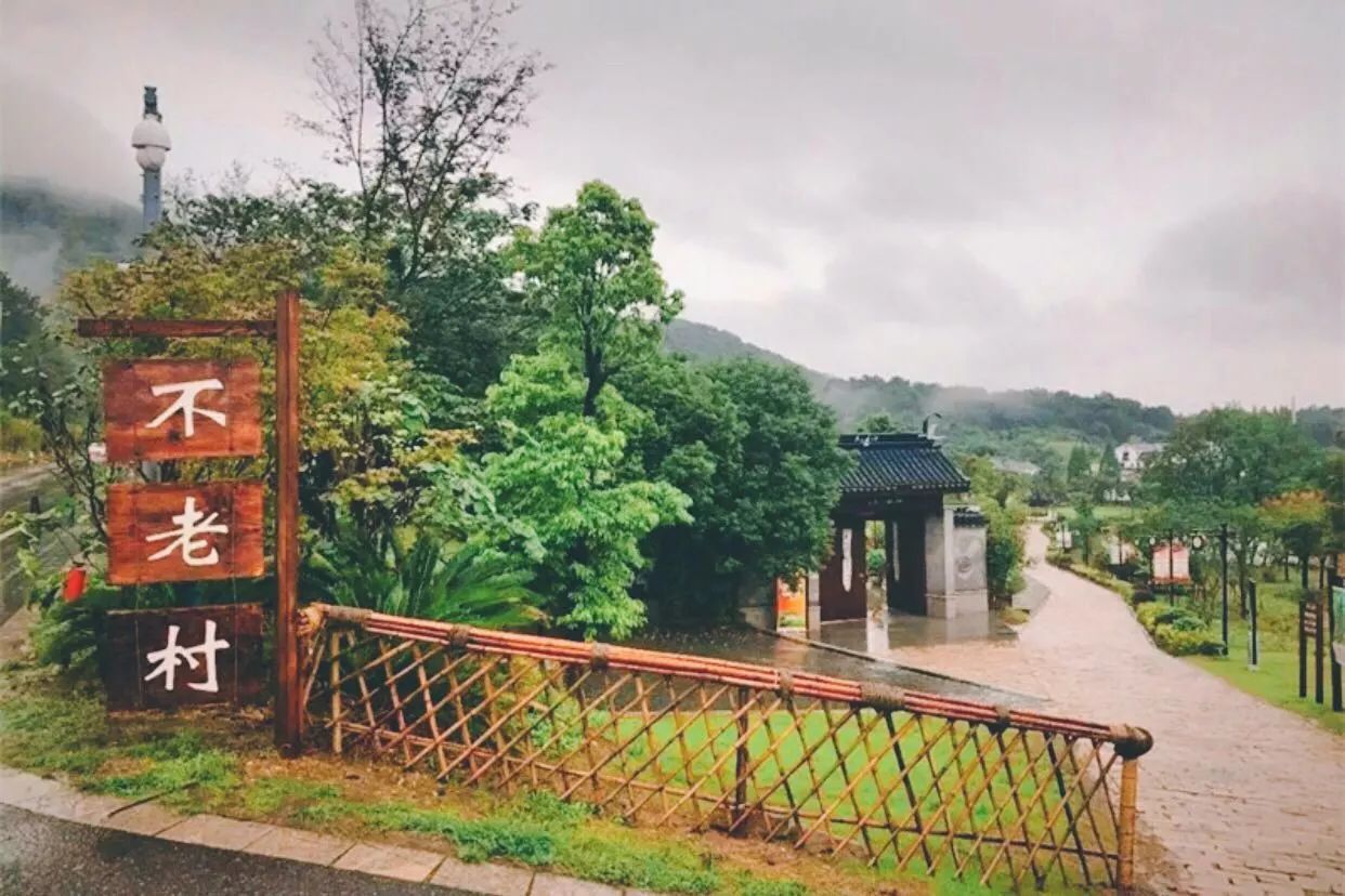 南京·悠然客棧，一方小院一杯清茶一段美好時光