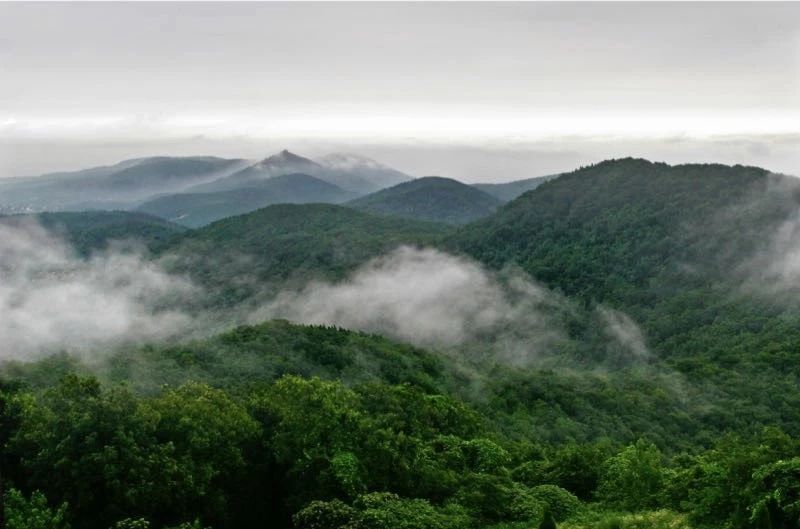 南京·悠然客棧，一方小院一杯清茶一段美好時光