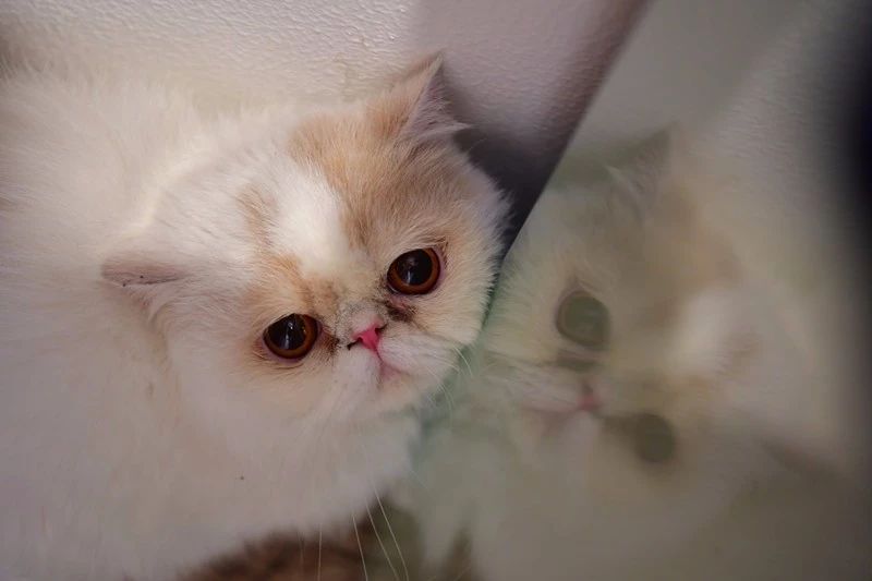 南京·悠然客棧，一方小院一杯清茶一段美好時(shí)光