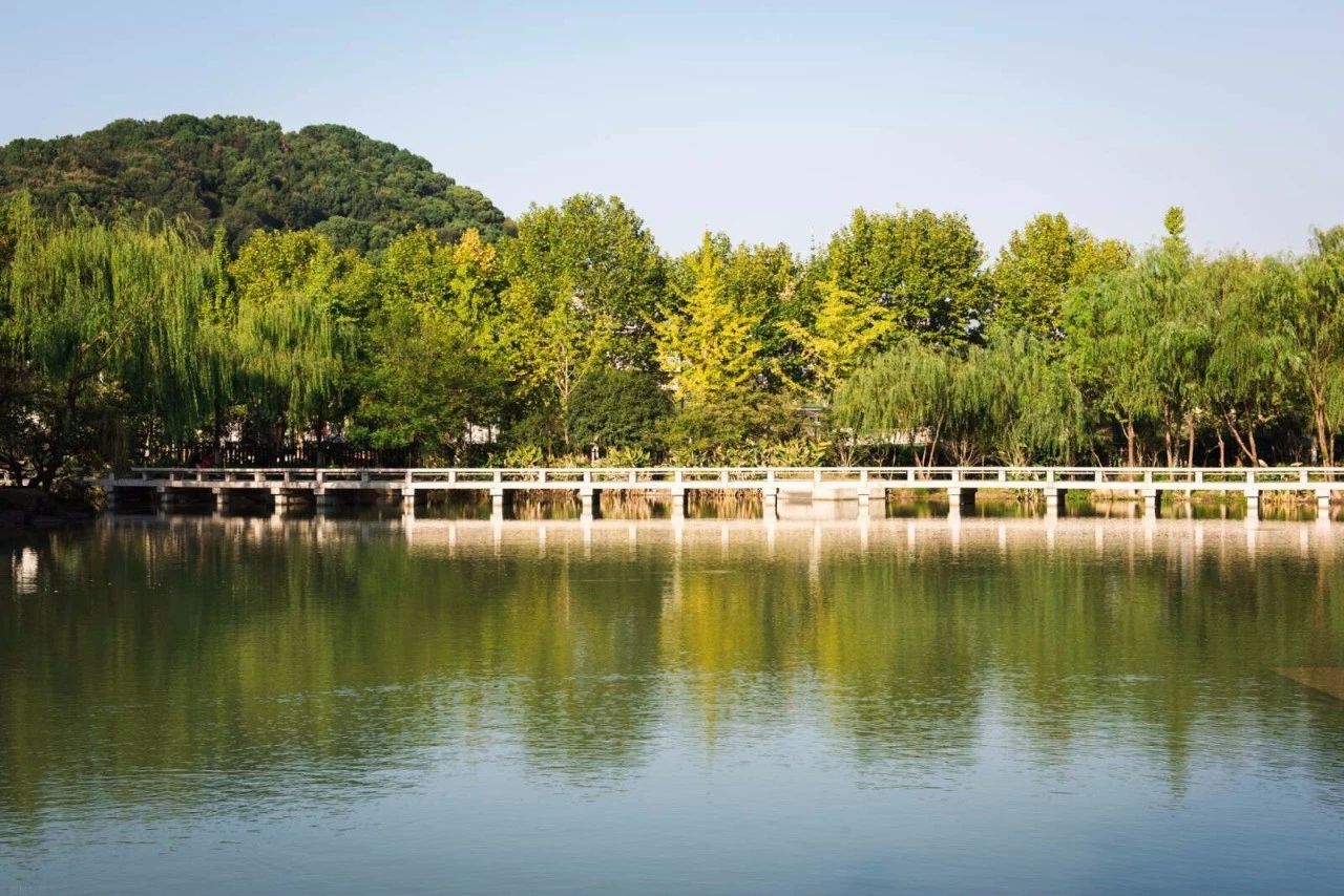 杭州·水墨蓉莊，保持一副獨(dú)立于塵世之外面孔