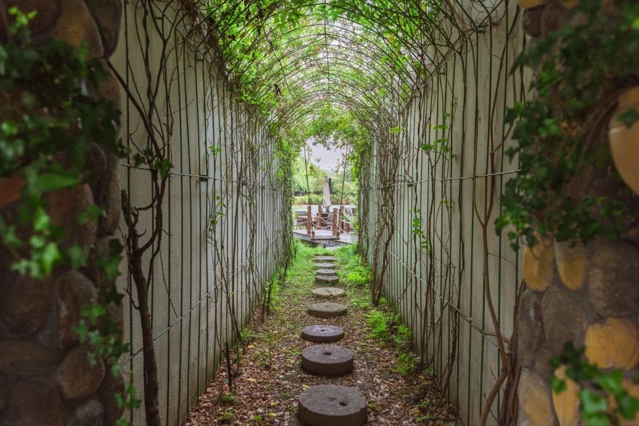 杭州·水墨蓉莊，保持一副獨立于塵世之外面孔