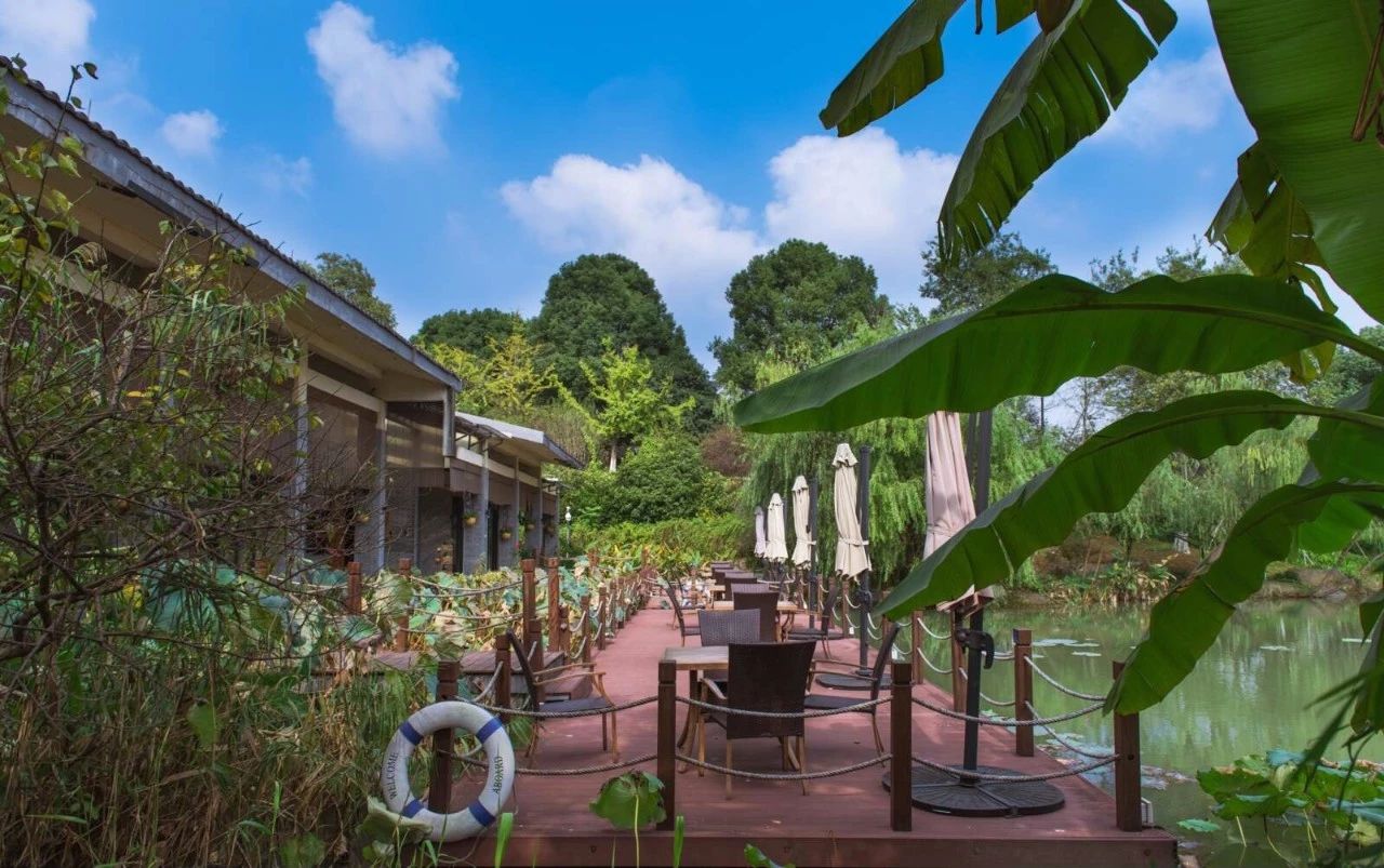 杭州·水墨蓉莊，保持一副獨立于塵世之外面孔