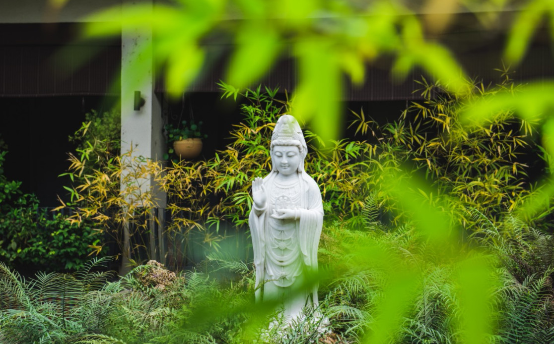 杭州·水墨蓉莊，保持一副獨立于塵世之外面孔