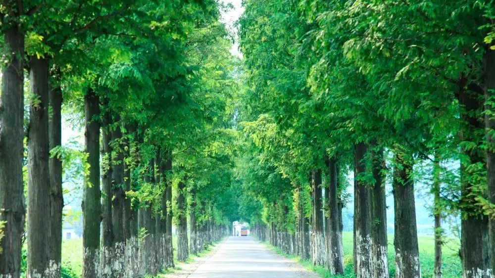 莫干山·玖悅度假酒店，沉浸在風(fēng)景里