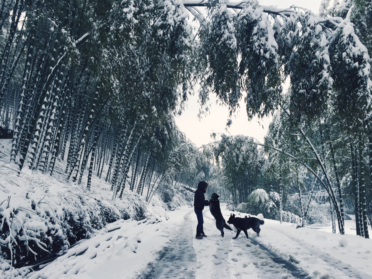 莫干山·玖悅度假酒店，沉浸在風(fēng)景里