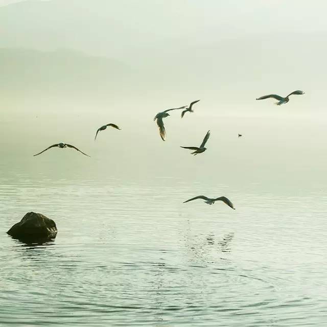 風(fēng)景攝影作品時(shí)光靜好：邛海景色！