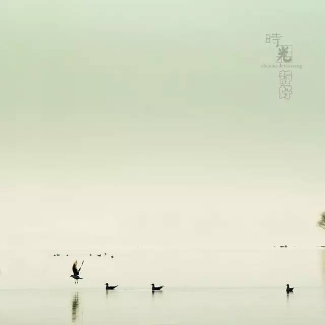 風(fēng)景攝影作品時光靜好：邛海景色！