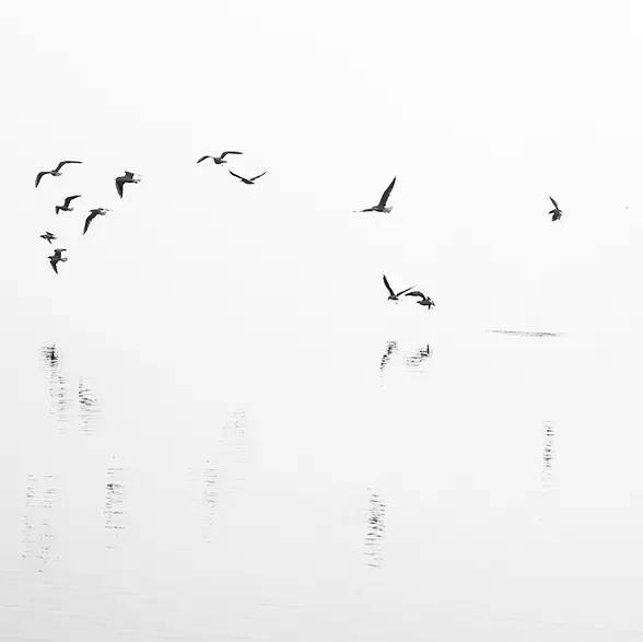 風(fēng)景攝影作品時光靜好：邛海景色！