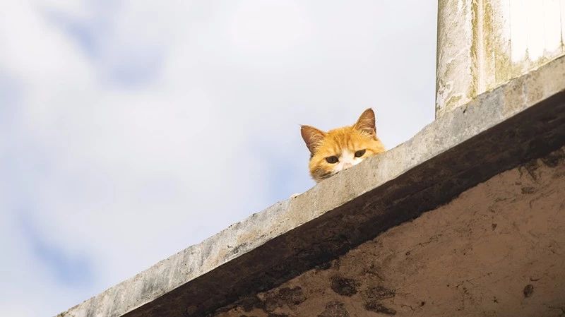 杭州·相見(jiàn)茶舍，若無(wú)相欠怎會(huì)相見(jiàn)