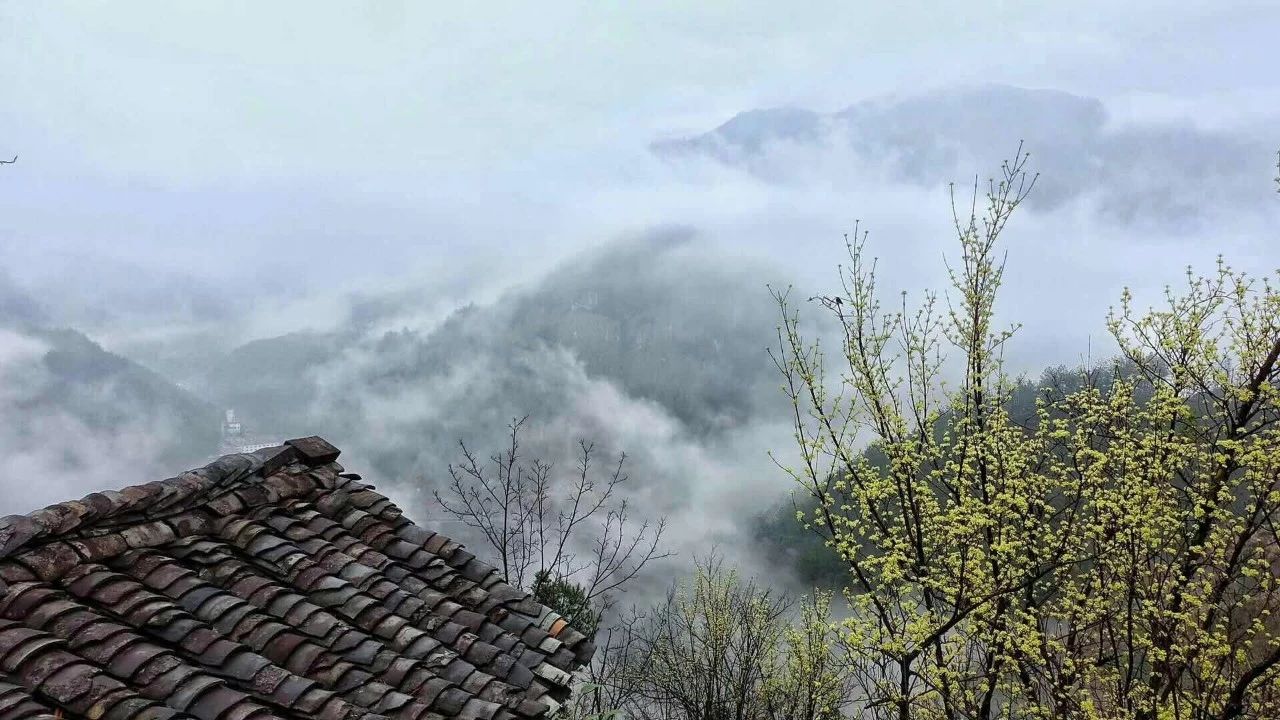 杭州·相見(jiàn)茶舍，若無(wú)相欠怎會(huì)相見(jiàn)