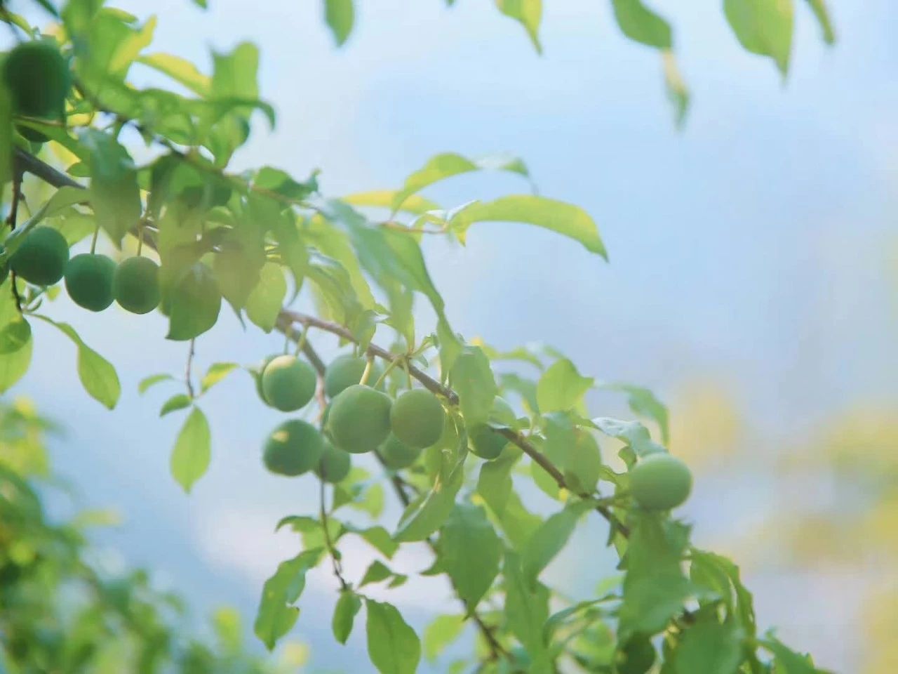 杭州·相見(jiàn)茶舍，若無(wú)相欠怎會(huì)相見(jiàn)