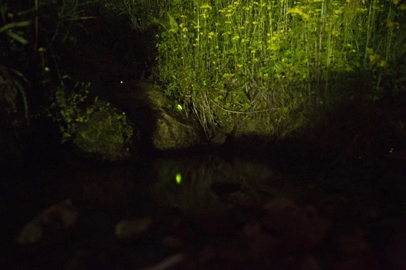 杭州·相見茶舍，若無相欠怎會相見