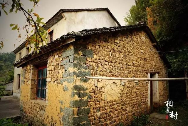 杭州·相見茶舍，若無相欠怎會相見