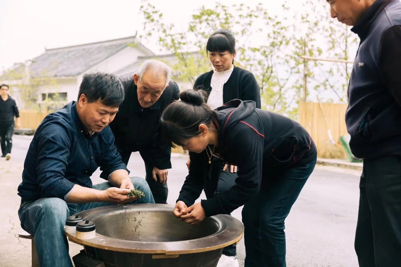 杭州·相見茶舍，若無相欠怎會相見