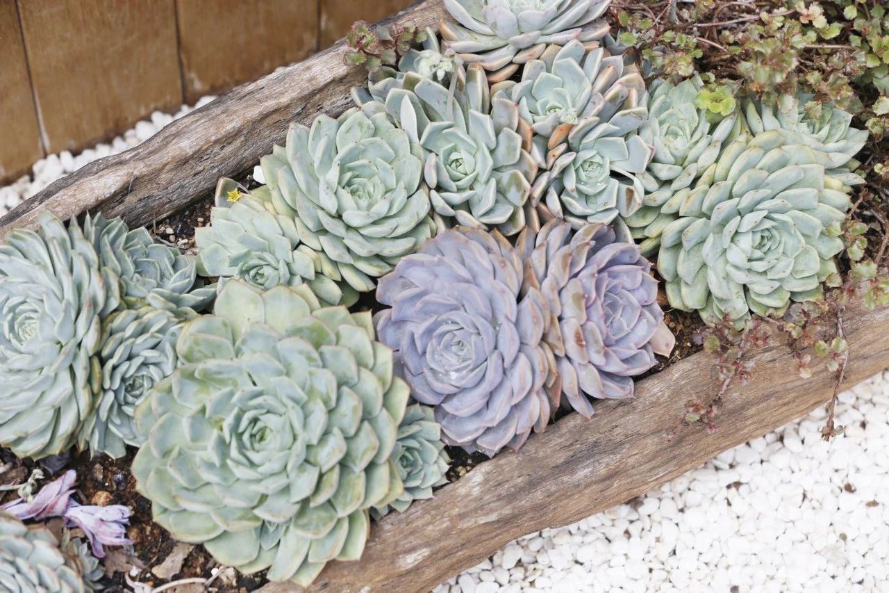 花田月舍·五月，最好的年紀找到內心的歸屬感