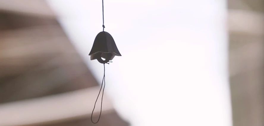 花田月舍·五月，最好的年紀(jì)找到內(nèi)心的歸屬感