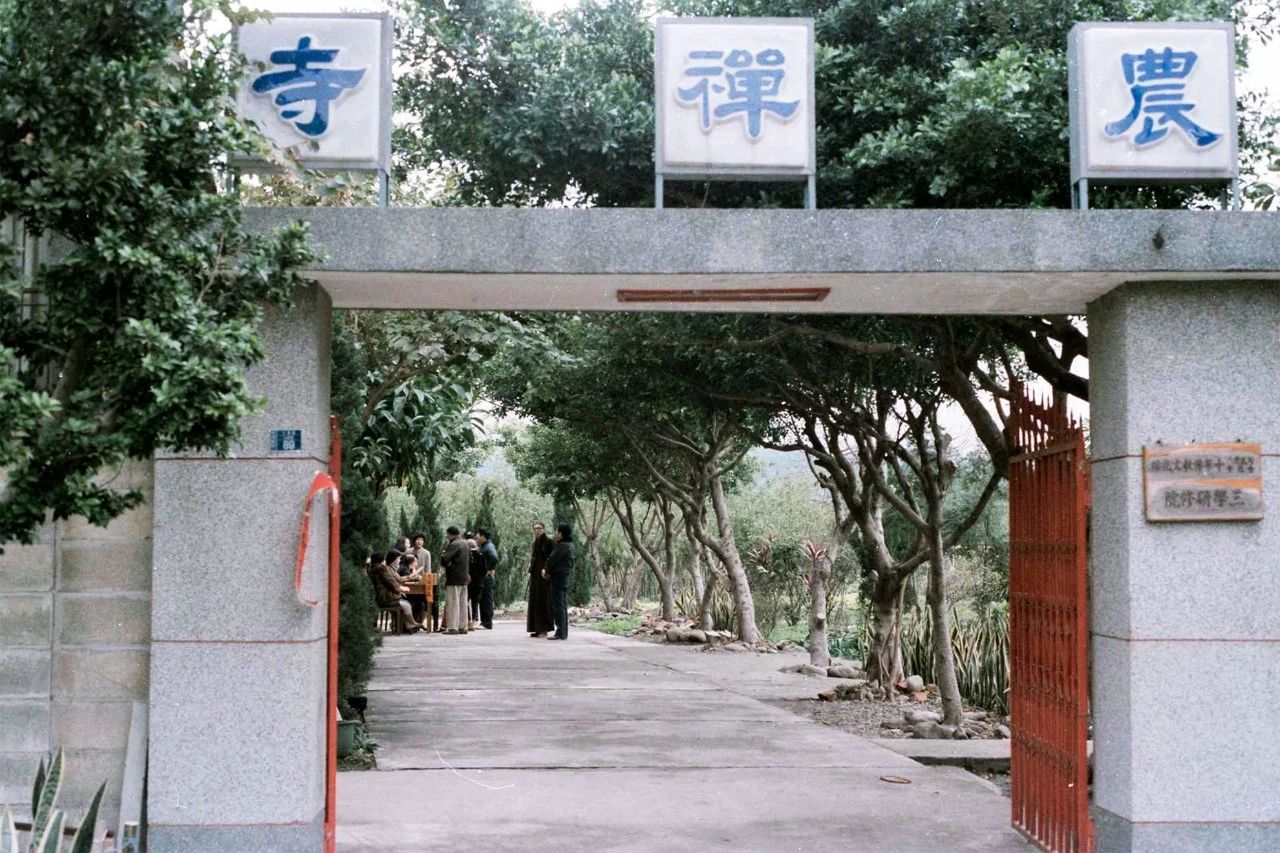 28000m2神秘寺廟-水月道場，吸引百萬人朝拜