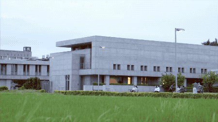 28000m2神秘寺廟-水月道場(chǎng)，吸引百萬(wàn)人朝拜