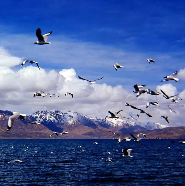 西藏景色，令人神往的佛界凈土