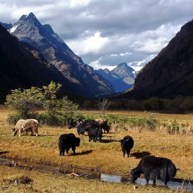 西藏景色，令人神往的佛界凈土