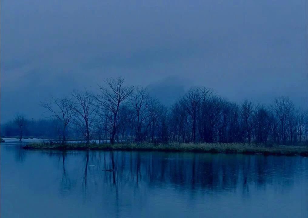 西顧·望城山居，闖入仙境等待一場(chǎng)花開(kāi)的心動(dòng)