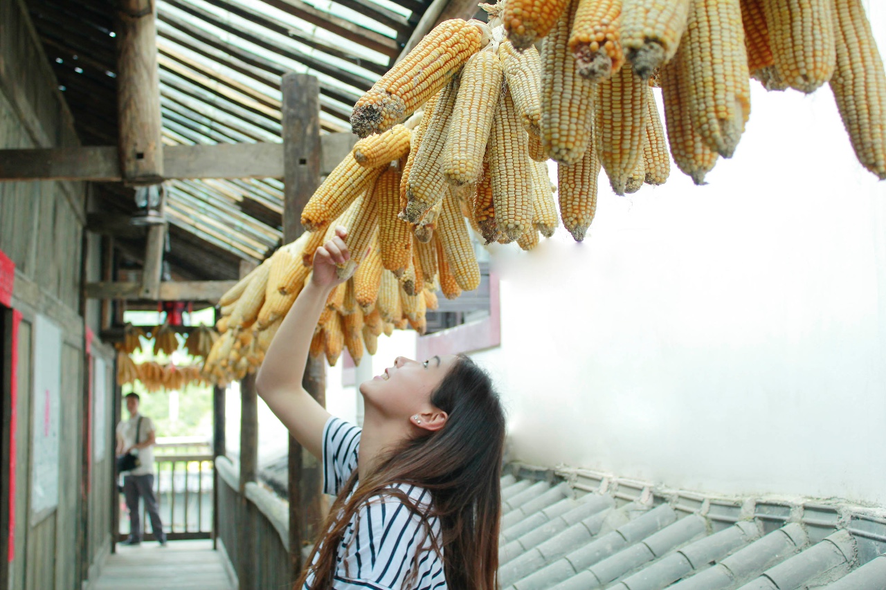 西顧·望城山居，闖入仙境等待一場(chǎng)花開(kāi)的心動(dòng)