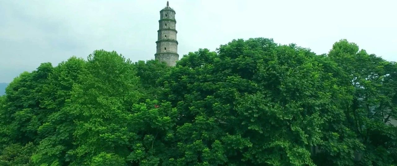 西顧·望城山居，闖入仙境等待一場花開的心動