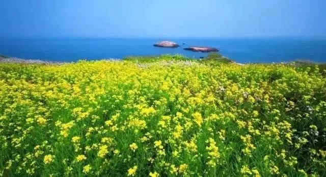 風(fēng)景游玩攻略：11個(gè)絕美海島路線約嗎？