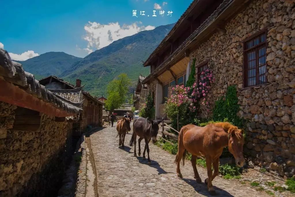 麗江·我們宿約，融入當(dāng)?shù)氐奈幕罡腥久總€(gè)人