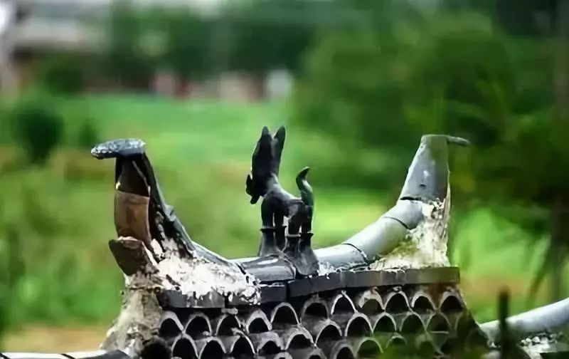 麗江·我們宿約，融入當(dāng)?shù)氐奈幕罡腥久總€(gè)人