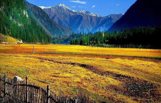 麗江·我們宿約，融入當(dāng)?shù)氐奈幕罡腥久總€(gè)人