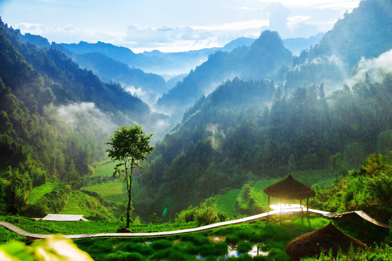 張家界·五號山谷，山谷在重生！