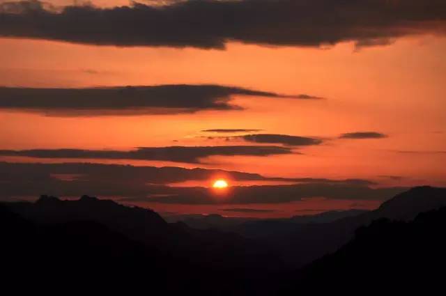 張家界·五號山谷，山谷在重生！