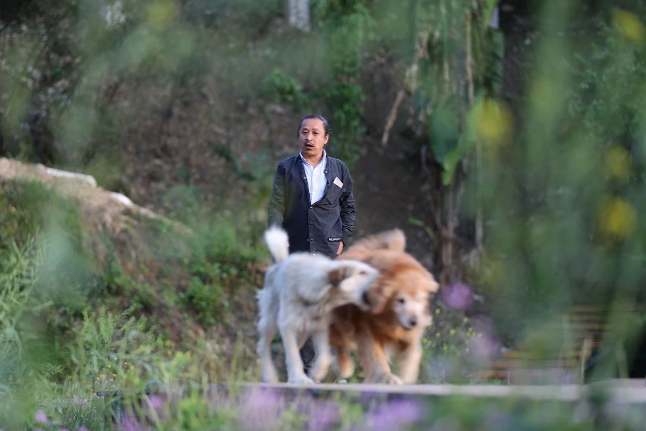 張家界·五號山谷，山谷在重生！