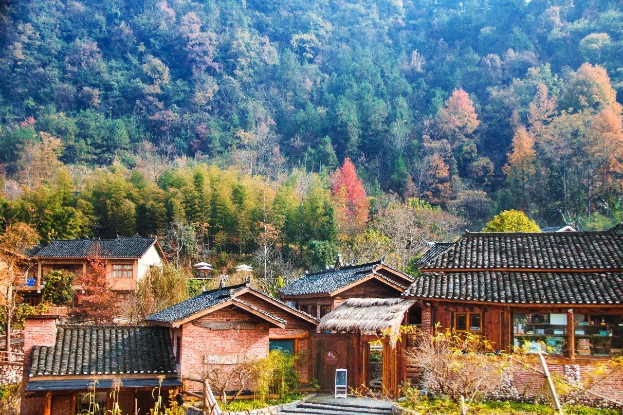 張家界·五號山谷，山谷在重生！