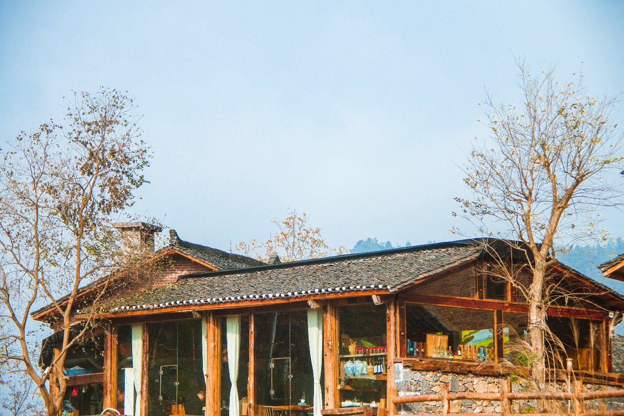 張家界·五號山谷，山谷在重生！