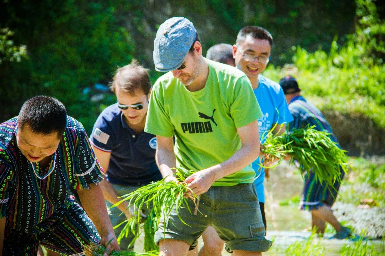 張家界·五號山谷，山谷在重生！