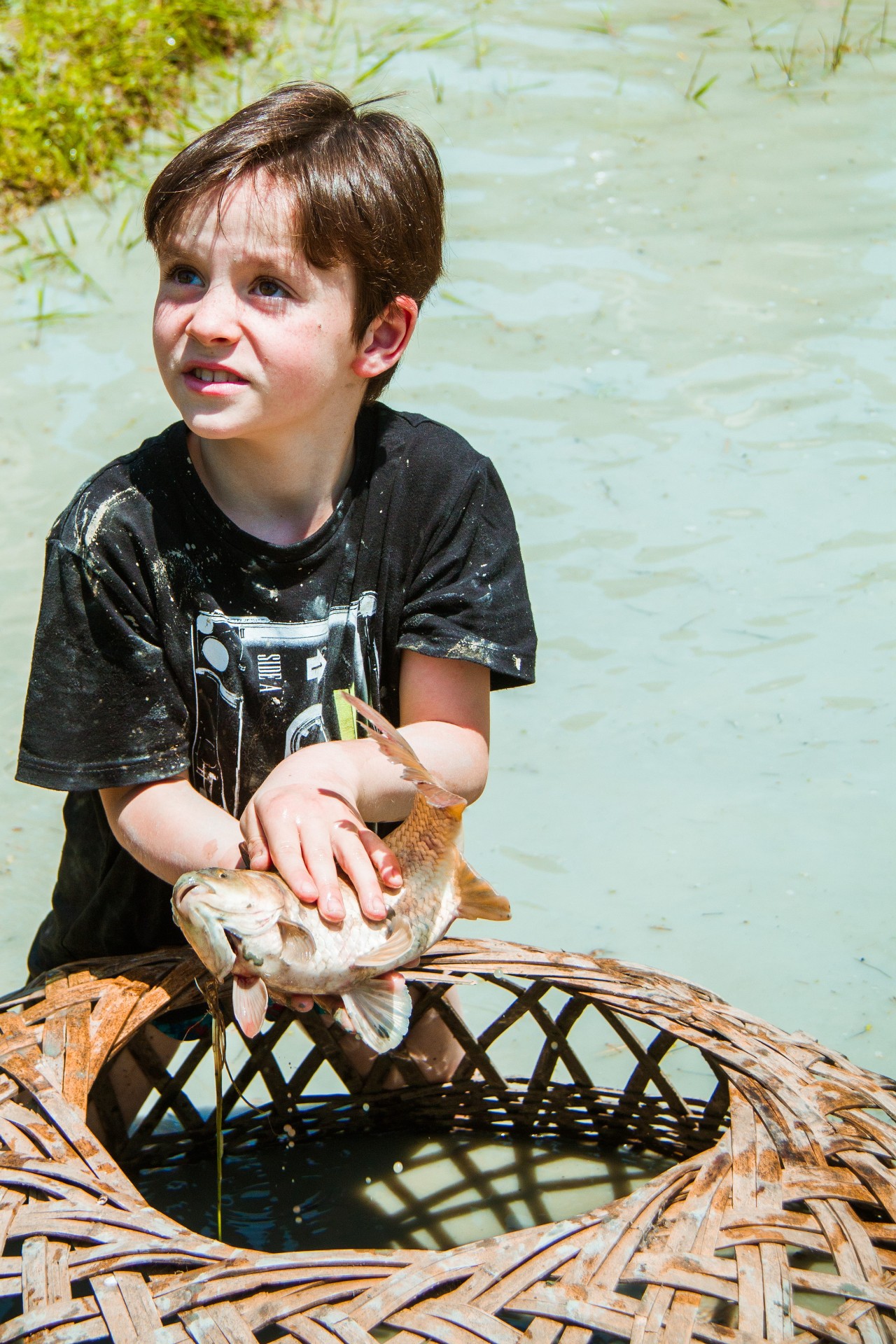 張家界·五號山谷，山谷在重生！