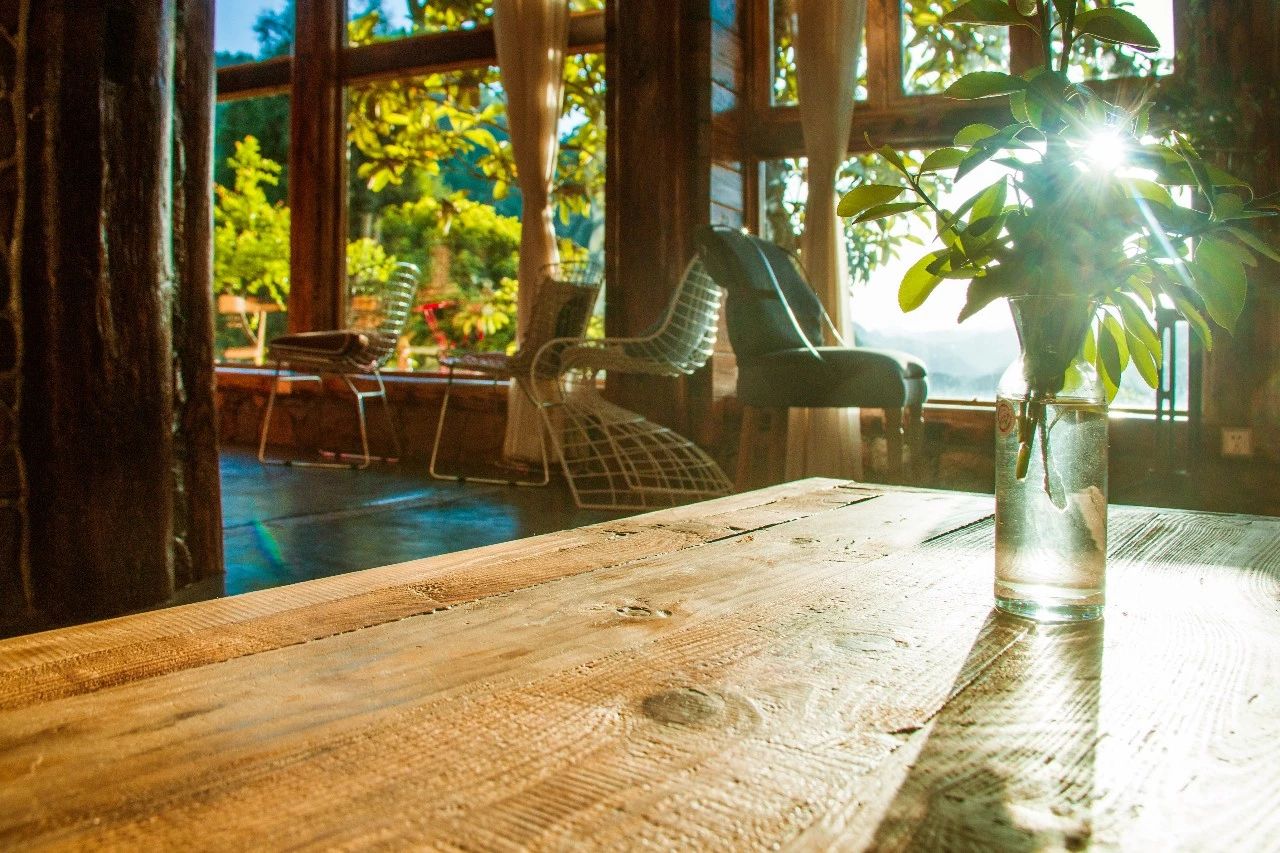 張家界·五號山谷，山谷在重生！